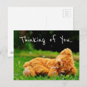 Denk aan jou briefkaart (Voorkant / Achterkant)