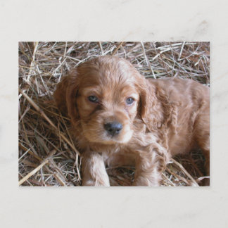 Denk aan jou... briefkaart