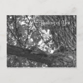 Denk aan jou briefkaart (Voorkant)