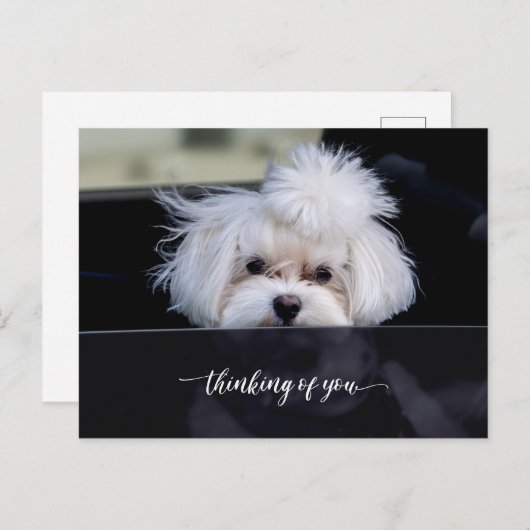 Denk aan jou briefkaart (Voorkant / Achterkant)