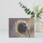 Denk aan jou briefkaart (Staand voorkant)