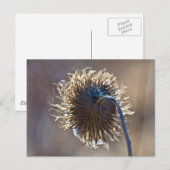 Denk aan jou briefkaart (Voorkant / Achterkant)