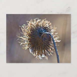 Denk aan jou briefkaart