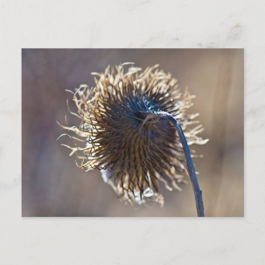 Denk aan jou briefkaart (Voorkant)