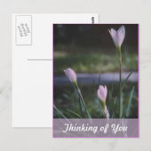 Denk aan jou briefkaart (Voorkant / Achterkant)