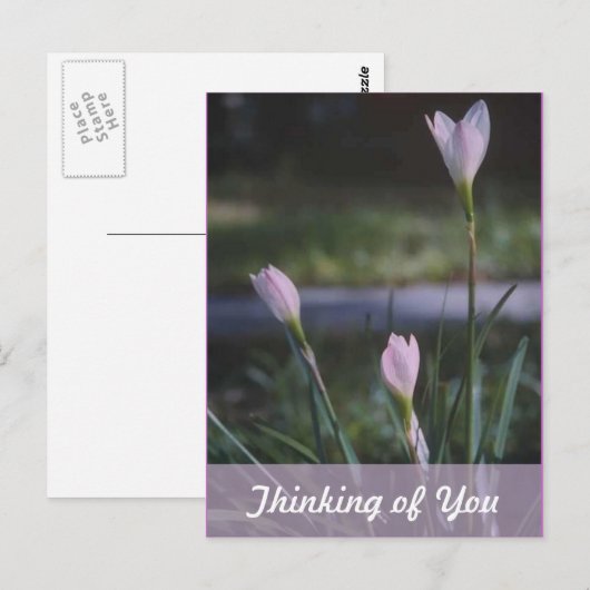 Denk aan jou briefkaart (Voorkant / Achterkant)