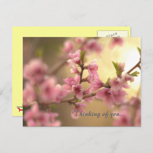 Denk aan jou... briefkaart (Voorkant / Achterkant)