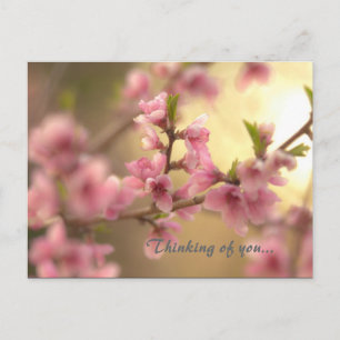 Denk aan jou... briefkaart