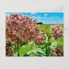 Denk aan jou briefkaart