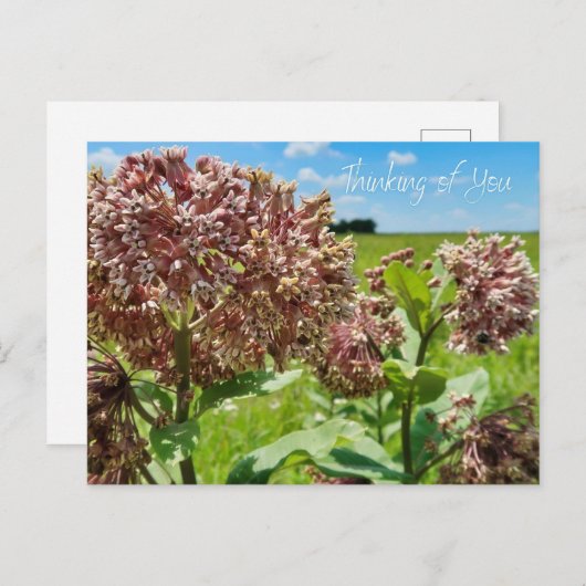 Denk aan jou briefkaart (Voorkant / Achterkant)