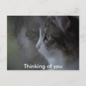 Denk aan jou briefkaart (Voorkant)