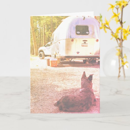 Denk Aan Jou Camper Hond Foto Sjabloon (Gele Bloem)