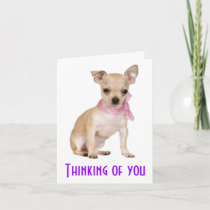 Denk Aan Jou Chihuahua Puppie Hond Verjaardagskaar Kaart