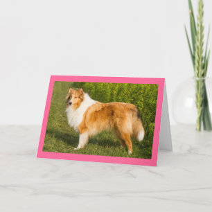 Denk aan Jou Collie Puppie Hond Kaart