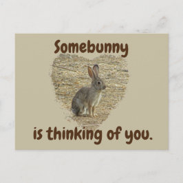 Denk aan Jou Cute Bunny Mis Je Vriendschap Briefkaart