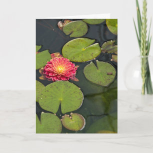 Denk aan Jou Dahlia in Waterlelies Kaart
