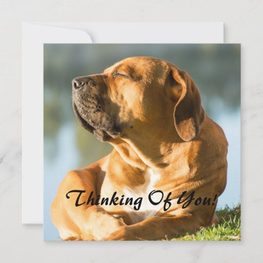 Denk aan jou feestdagenkaart (Voorkant)