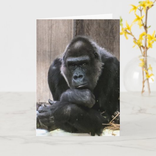 DENK AAN JOU GORILLA WENSKAARTEN KAART (Gele Bloem)