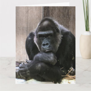 DENK AAN JOU GORILLA'S grote WENSKAARTEN Kaart