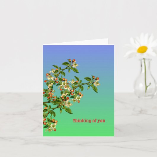 Denk aan jou kaart (Kleine Plant)