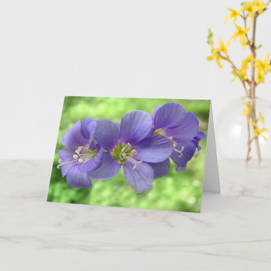 Denk aan jou kaart (Gele Bloem)