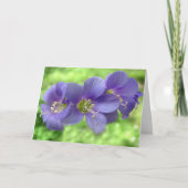 Denk aan jou kaart (Voorkant)