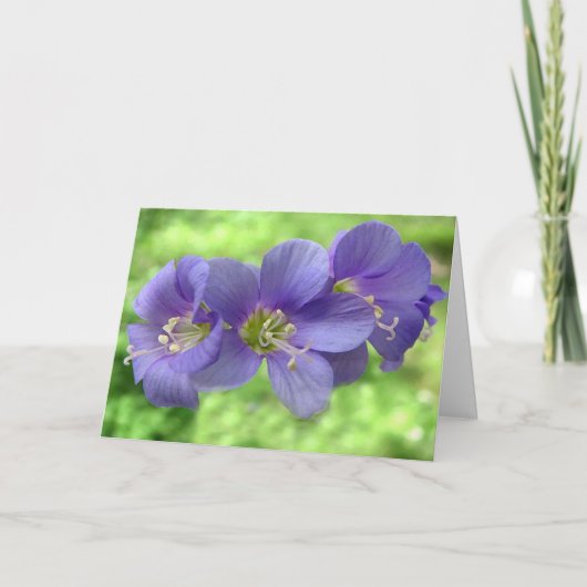 Denk aan jou kaart (Voorkant)