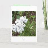 Denk aan jou kaart (Achterkant)