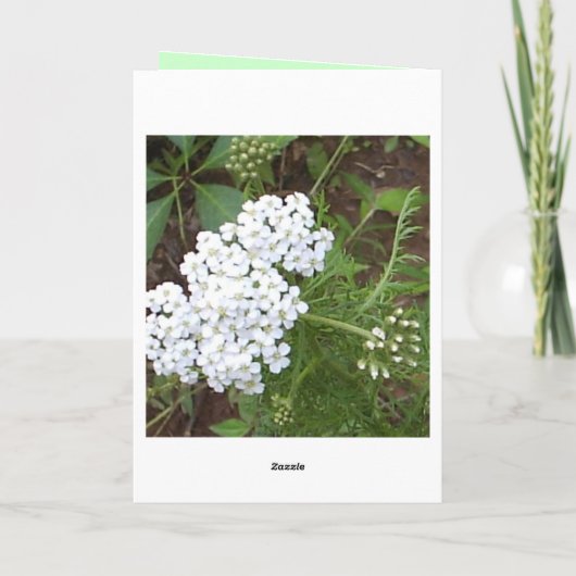 Denk aan jou kaart (Achterkant)