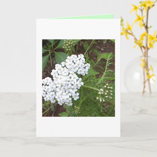 Denk aan jou kaart (Gele Bloem)