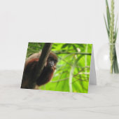 Denk aan jou kaart (Voorkant)