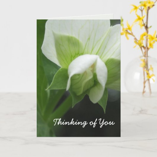 Denk aan jou kaart sjabloon aanpasbaar (Gele Bloem)