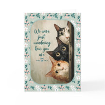Denk Aan Jou Kat Vertroosting