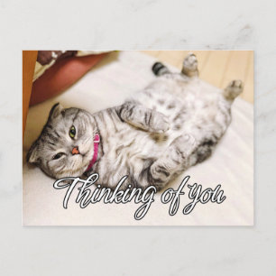Denk Aan Jou - Knuffel Kitty Kat Briefkaart