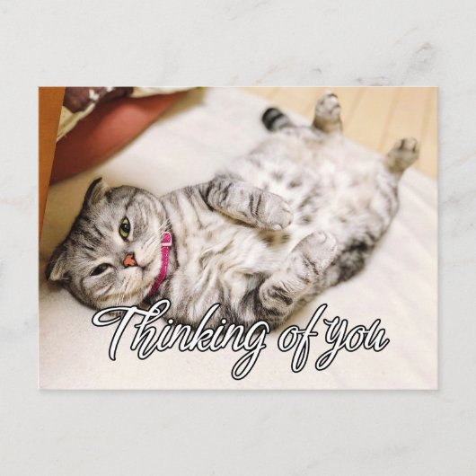 Denk Aan Jou - Knuffel Kitty Kat Briefkaart (Voorkant)