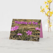 Denk aan jou Leeg Roze Phlox Wilde Bloem Kaart (Gele Bloem)