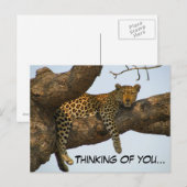 Denk aan jou (luipaard in een boom) briefkaart (Voorkant / Achterkant)
