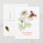 Denk aan jou Madeliefjes en Lieveheersbeestje Briefkaart (Voorkant / Achterkant)