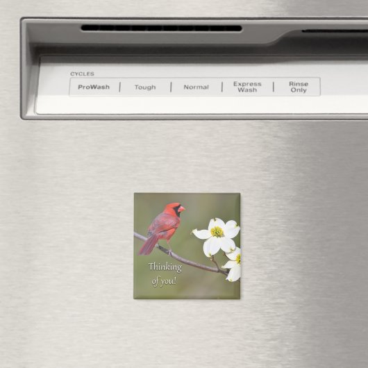 Denk aan jou magneet (Insitu (Vaatwasser))