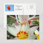 Denk aan jou, mijn vriend! Postkaart Tulp Bloem (Voorkant / Achterkant)