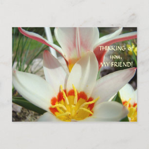 Denk aan jou, mijn vriend! Postkaart Tulp Bloem