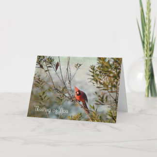 Denk aan jou - Noordelijke Kardinaal in Wax Myrtle Kaart