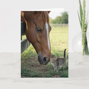 Denk aan Jou Paard met Tabby Kitten Kaart