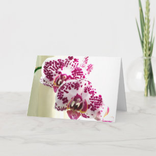 Denk aan Jou Paarse Gevarieerde Orchidee Foto Kaart