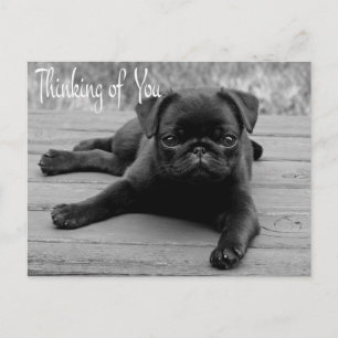 Denk Aan Jou Pug Puppie Hond Groet Ansichtkaart Briefkaart