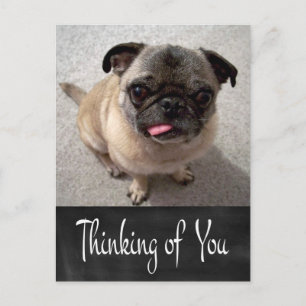 Denk Aan Jou Pug Puppieschoolbord Postkaart