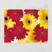 Denk aan jou rode en gele Gerber-margrieten Briefkaart (Voorkant)