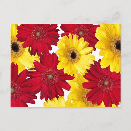 Denk aan jou rode en gele Gerber-margrieten Briefkaart (Voorkant)