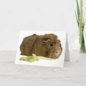 Denk Aan Jou Schattige Cavia Foto Sjabloon (Voorkant)