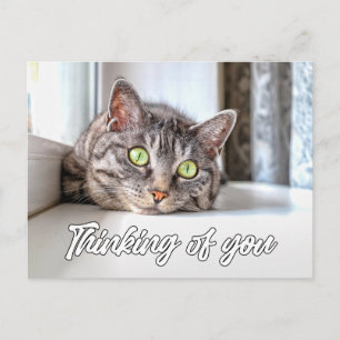 Denk Aan Jou - Schattige Kitty Kat Briefkaart